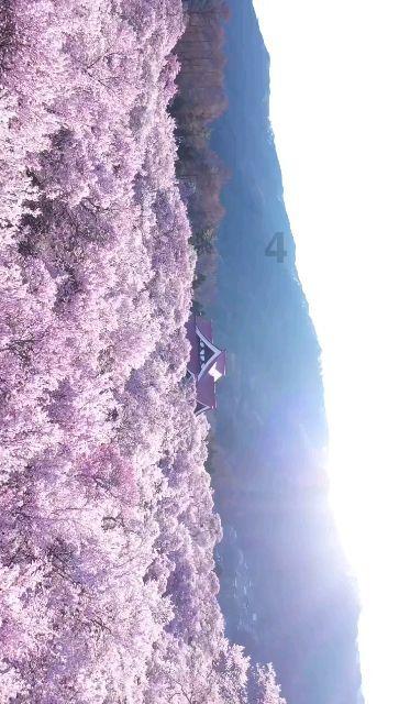 风色幻想XX