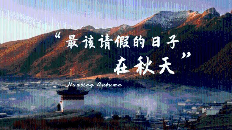 命运骰子
