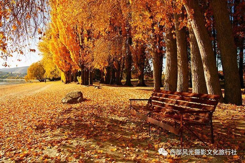 青蛙跳一跳