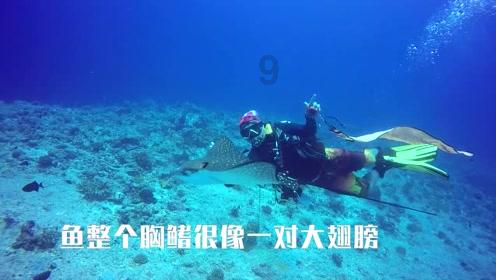 中国游泳队在京冬训