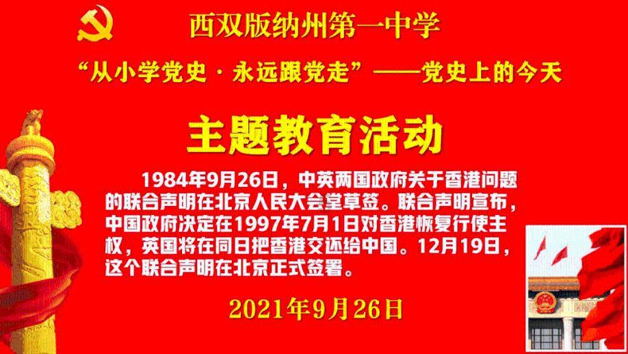 寻找萌宠松鼠