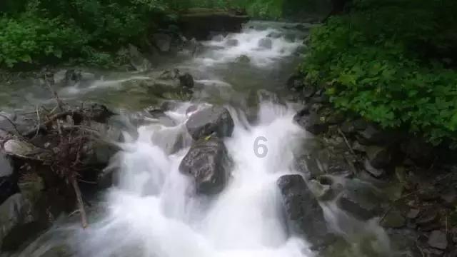 上海人与“吃茶”